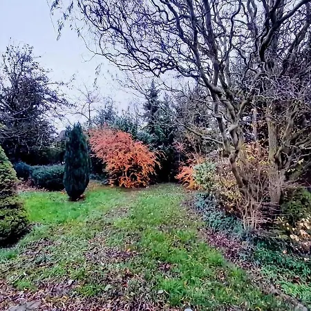 Eifel Garden For Groups Semesterbostad *