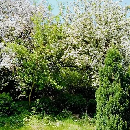 בית נופש Eifel Garden For Groups Karl