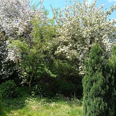 בית נופש Eifel Garden For Groups *